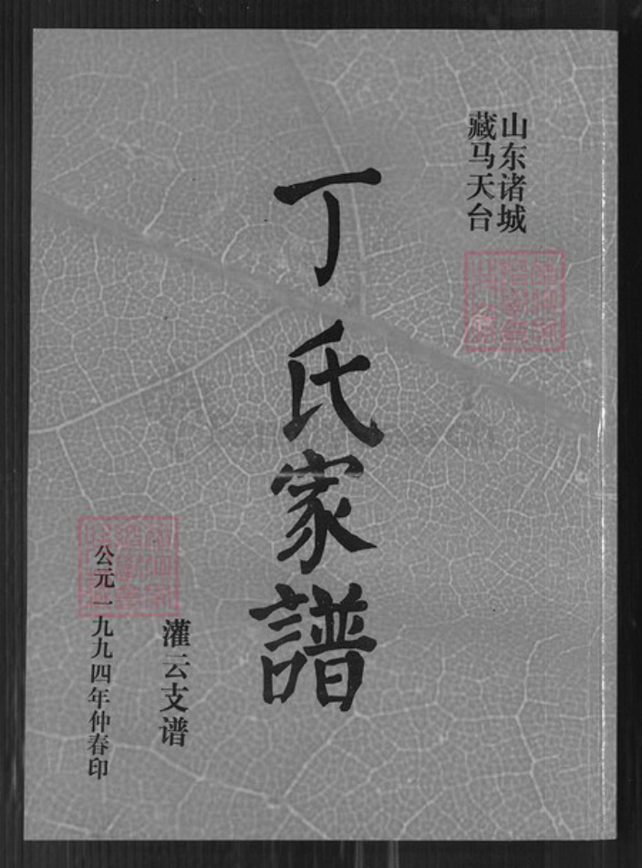 山东省潍坊市诸城市丁氏寻源堂族谱-丁氏家谱. 灌云支谱.pdf电子版插图