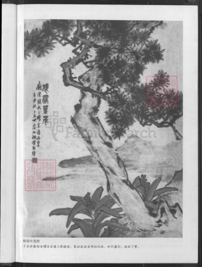 江苏省盐城市阜宁县顾氏惇叙堂族谱-庙湾顾氏宗谱.pdf电子版插图4