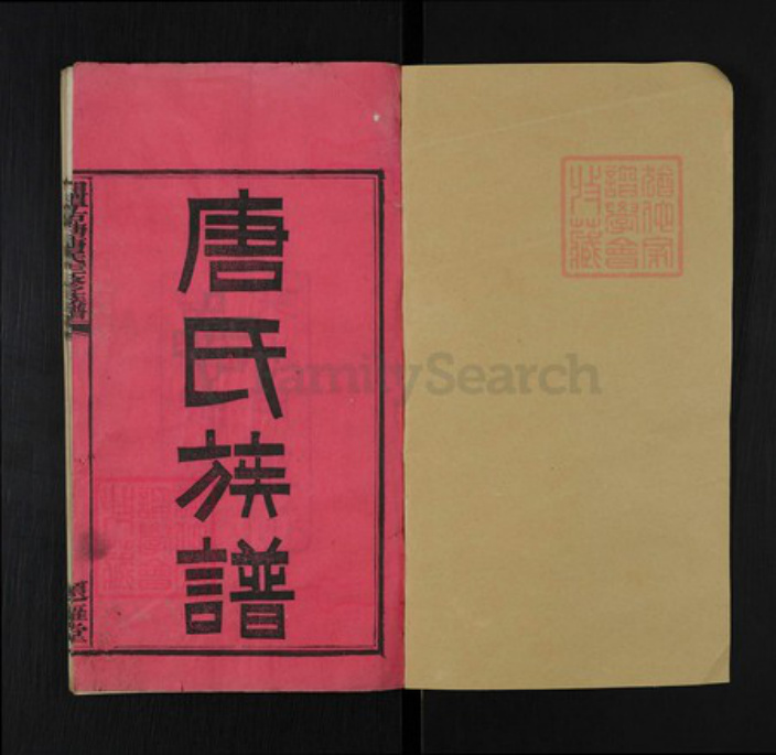 湖南省湘潭市湘乡市翻江镇唐氏题雁堂族谱-湘潭古塘唐氏三修族谱.pdf电子版插图1