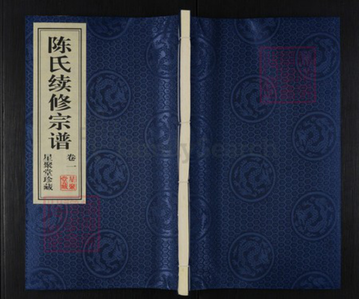 江苏省常州市武进县湟里镇陈氏星聚堂族谱-陈氏续修宗谱.pdf电子版插图