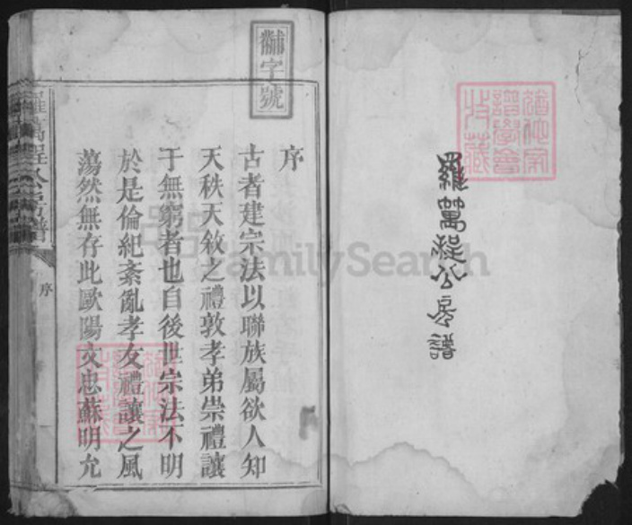 江西省抚州市宜黄县棠阴镇罗氏族谱-罗万程公房谱.pdf电子版插图1
