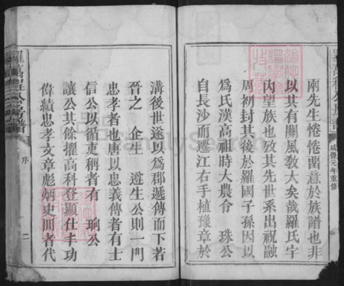 江西省抚州市宜黄县棠阴镇罗氏族谱-罗万程公房谱.pdf电子版插图2