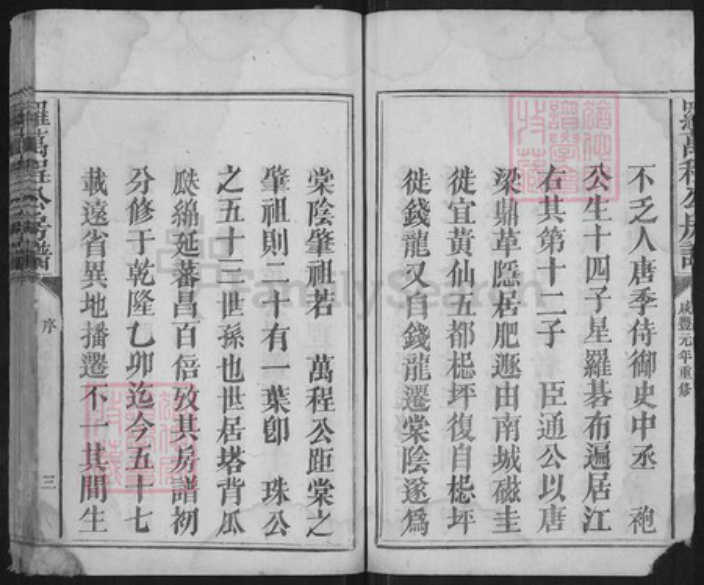 江西省抚州市宜黄县棠阴镇罗氏族谱-罗万程公房谱.pdf电子版插图3