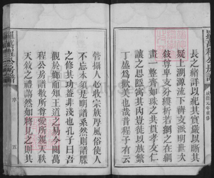 江西省抚州市宜黄县棠阴镇罗氏族谱-罗万程公房谱.pdf电子版插图5
