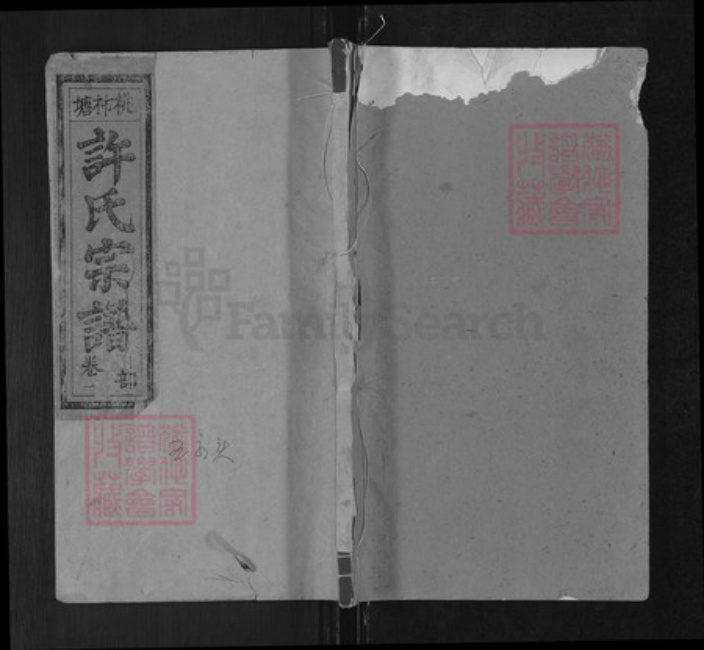 江西省上饶市广丰区许氏孝友堂族谱-桃柿塘许氏宗谱.pdf电子版插图