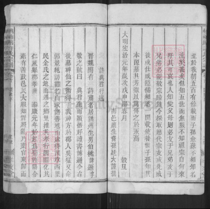 江西省上饶市广丰区许氏孝友堂族谱-桃柿塘许氏宗谱.pdf电子版插图5