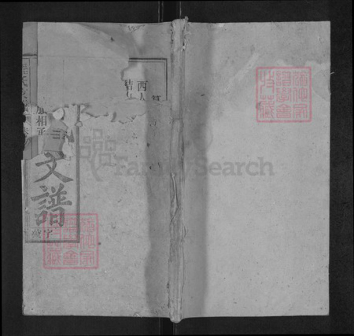 安徽省安庆市宜秀区程氏继箴堂族谱-程氏支谱.pdf电子版插图