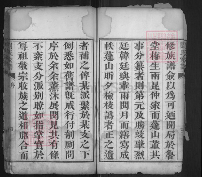 山东省泰安市宁阳县刘氏族谱-刘氏家谱.pdf电子版插图5