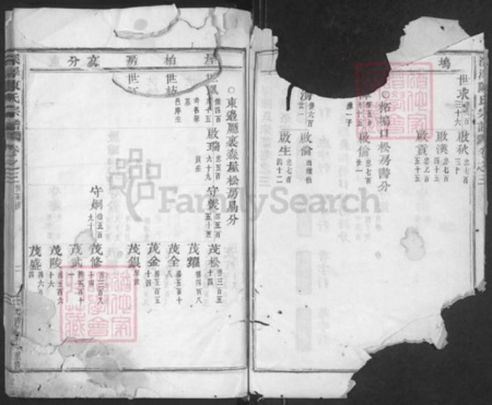 浙江省金华市磐安县深泽乡陈氏族谱-深泽陈氏宗谱.pdf电子版插图2