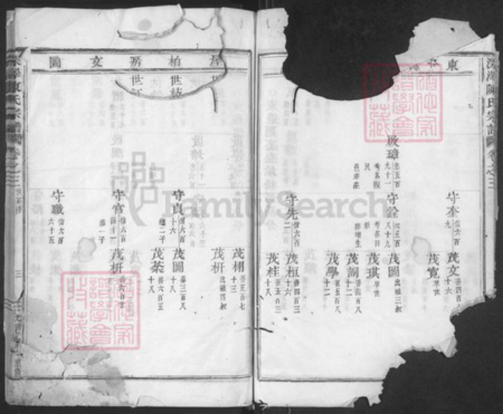 浙江省金华市磐安县深泽乡陈氏族谱-深泽陈氏宗谱.pdf电子版插图3