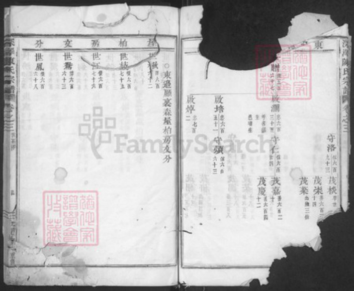 浙江省金华市磐安县深泽乡陈氏族谱-深泽陈氏宗谱.pdf电子版插图4