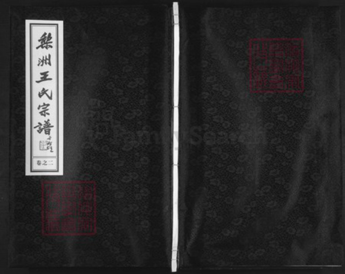 浙江省宁波市余姚市区余姚王氏族谱-梨洲王氏宗谱.pdf电子版插图