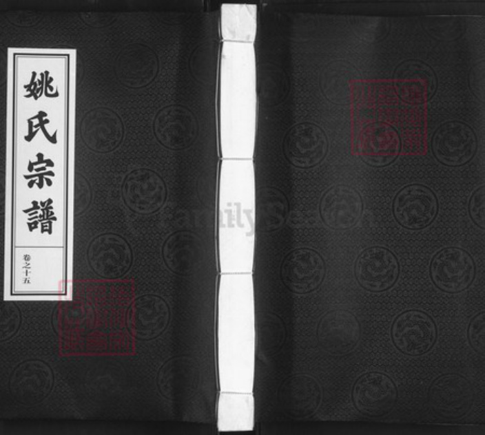 浙江省杭州市淳安县县汾口镇姚氏敦睦堂族谱-姚氏宗谱.pdf电子版插图