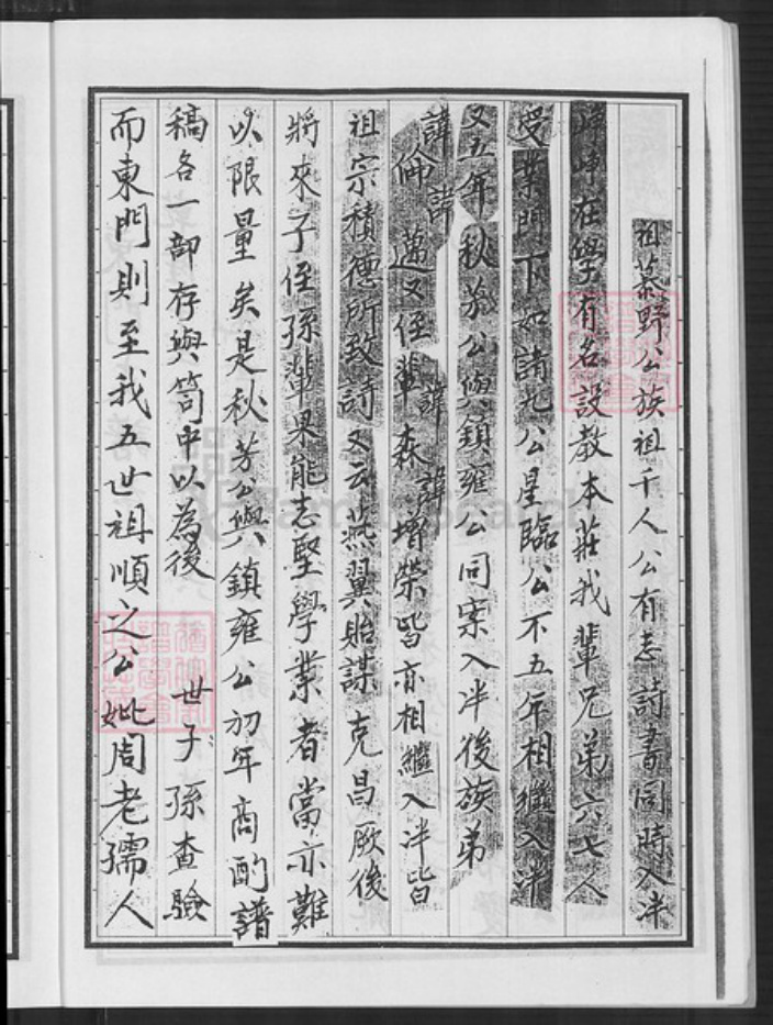浙江省杭州市临安区区临安苗氏练达堂族谱-苗氏宗谱.东阳郡练达堂东门支谱.pdf电子版插图4