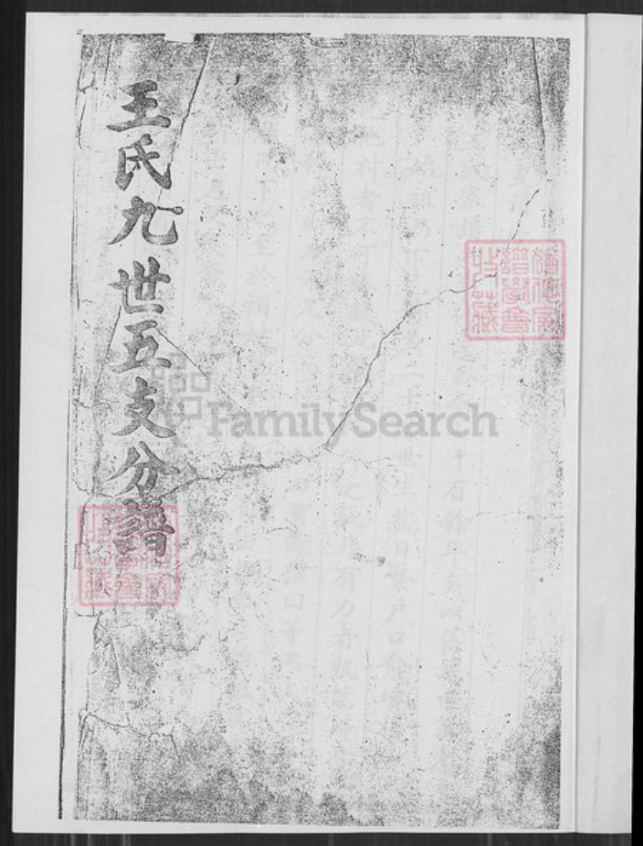 云南省大理白族自治州鹤庆县王氏族谱-王氏九世五支分谱.pdf电子版插图1