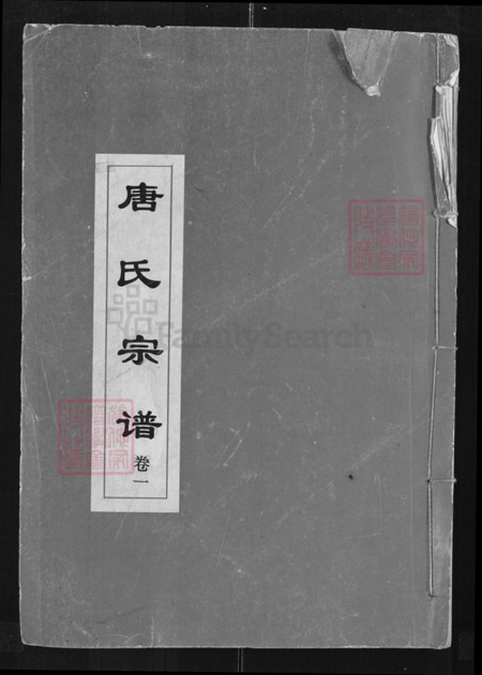 湖北省武汉市江夏区唐氏族谱-唐氏宗谱.pdf电子版插图
