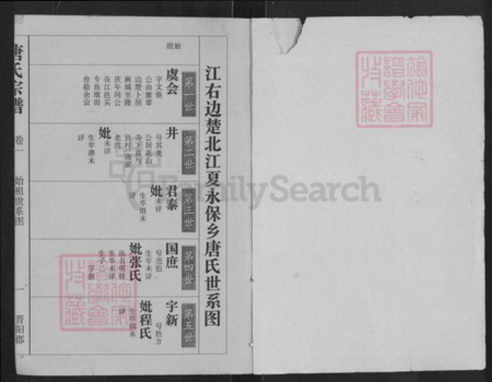 湖北省武汉市江夏区唐氏族谱-唐氏宗谱.pdf电子版插图1