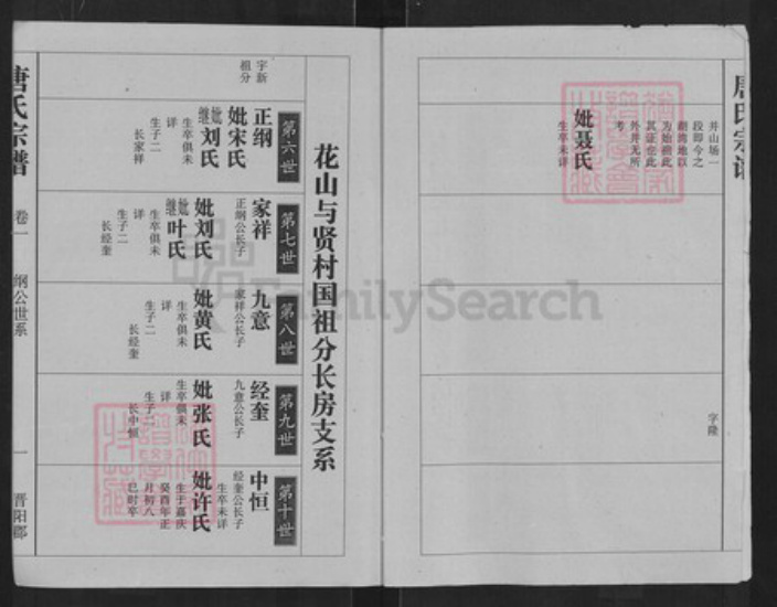 湖北省武汉市江夏区唐氏族谱-唐氏宗谱.pdf电子版插图2