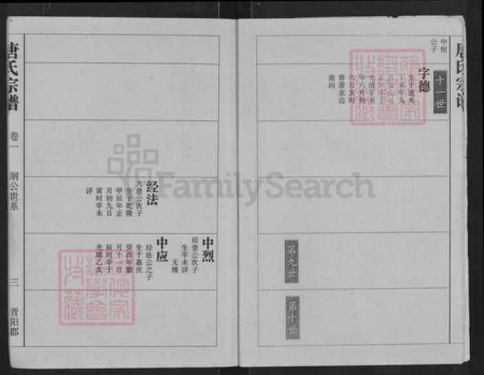湖北省武汉市江夏区唐氏族谱-唐氏宗谱.pdf电子版插图4