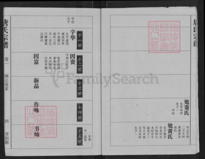 湖北省武汉市江夏区唐氏族谱-唐氏宗谱.pdf电子版插图5