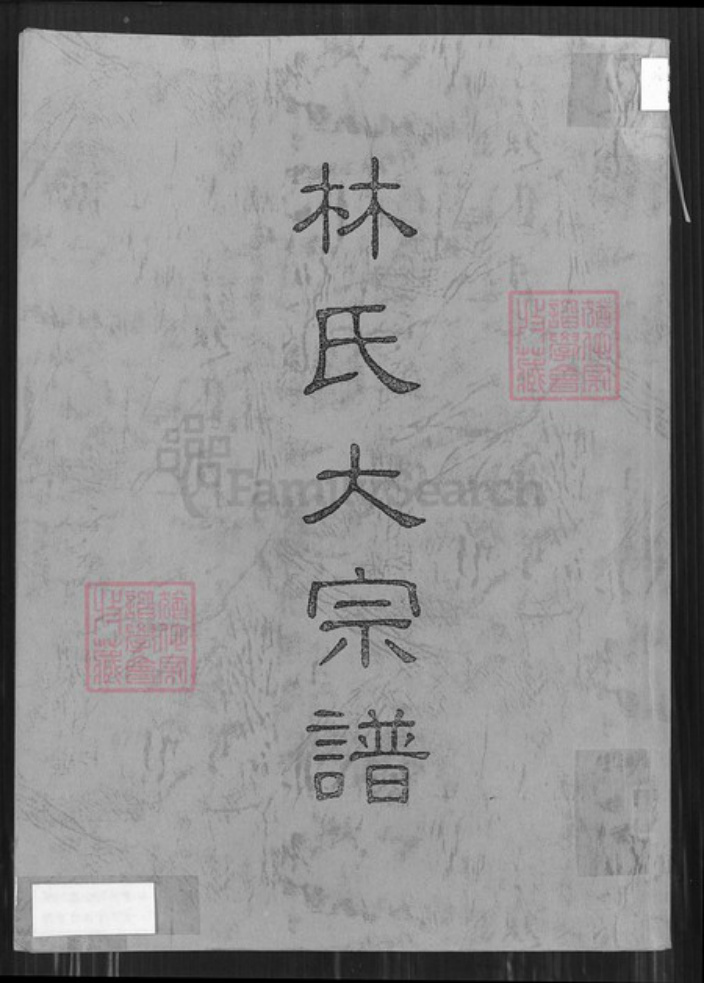 台湾桃园市龟山区林氏族谱-林氏大宗谱.pdf电子版插图