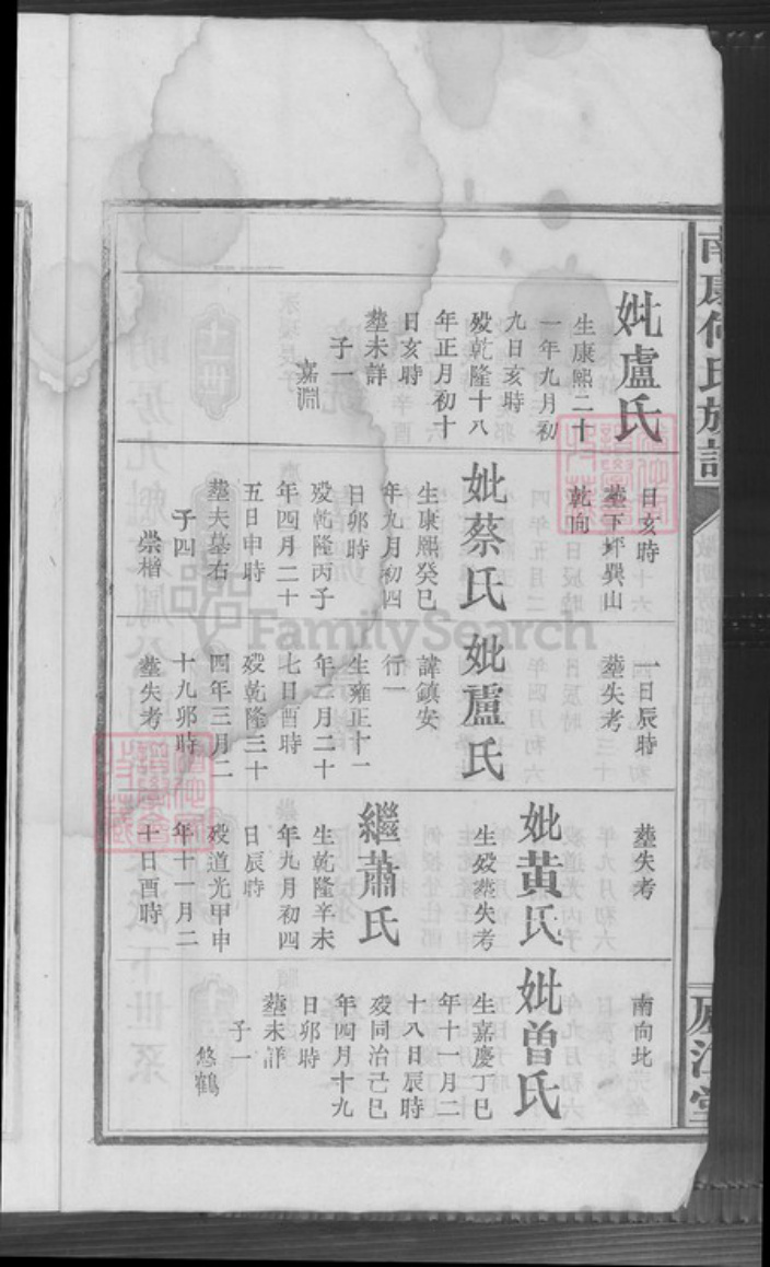 江西省赣州市南康区何氏卢江堂族谱-南康何氏族谱.pdf电子版插图2