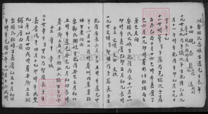 福建省泉州市安溪县尚卿乡余氏族谱-余氏族谱.pdf电子版插图4 福建省泉州市安溪县尚卿乡余氏族谱-余氏族谱.pdf电子版插图4