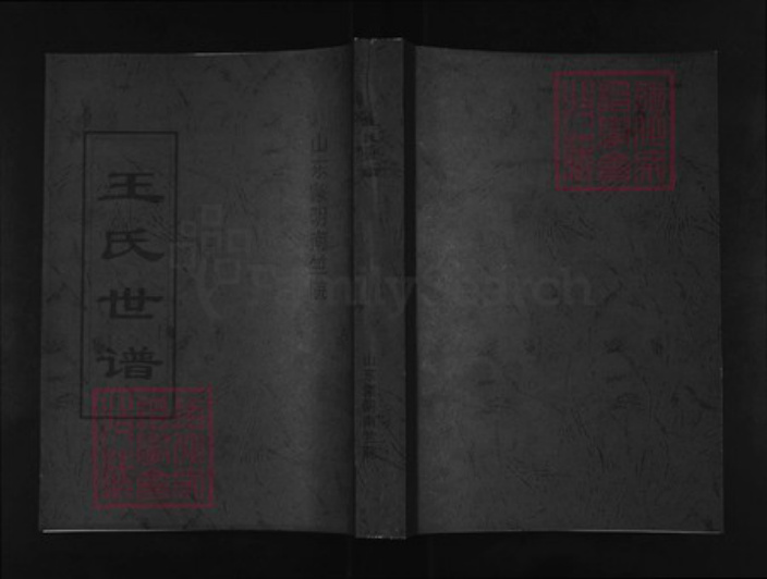 山东省临沂市蒙阴县王氏族谱-王氏世谱.pdf电子版