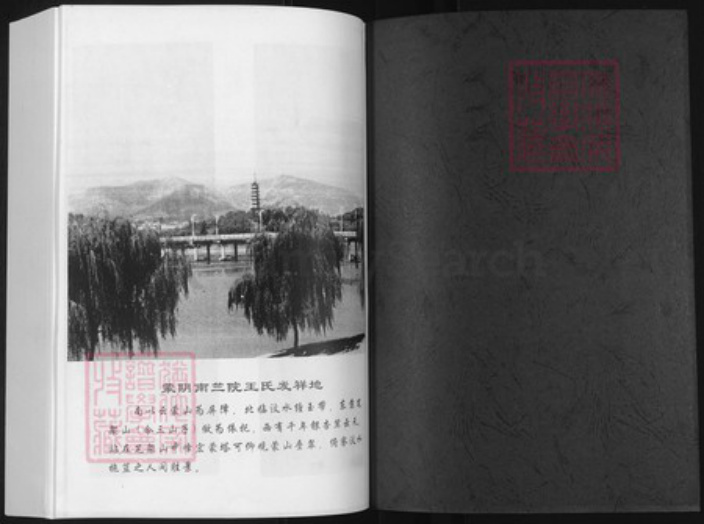 山东省临沂市蒙阴县王氏族谱-王氏世谱.pdf电子版插图1