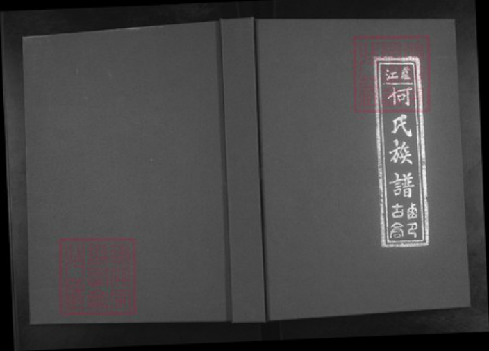 河南省周口市西华县奉母镇何氏族谱-卢江何氏族谱.pdf电子版