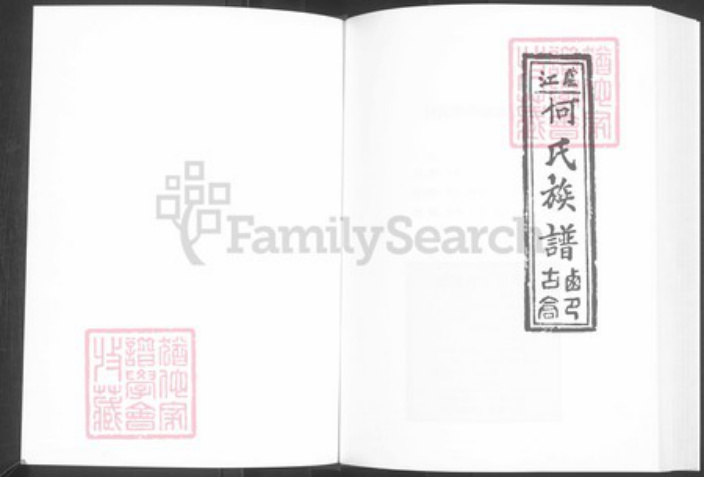 河南省周口市西华县奉母镇何氏族谱-卢江何氏族谱.pdf电子版插图1