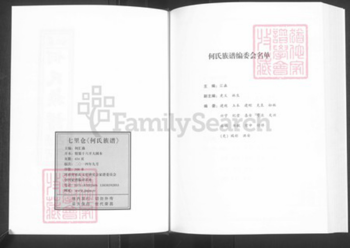 河南省周口市西华县奉母镇何氏族谱-卢江何氏族谱.pdf电子版插图2