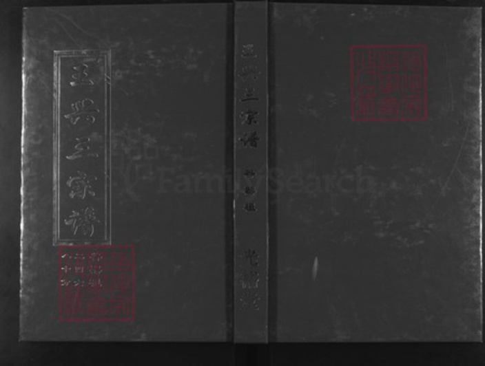 湖北省武汉市新洲区王氏光裕堂族谱-王兴三宗谱.pdf电子版插图 湖北省武汉市新洲区王氏光裕堂族谱-王兴三宗谱.pdf电子版插图