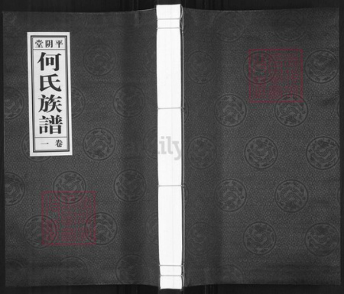 山东省济南市平阴县何氏平阴堂族谱-何氏族谱.pdf电子版