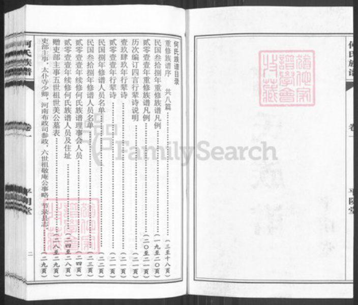 山东省济南市平阴县何氏平阴堂族谱-何氏族谱.pdf电子版插图2