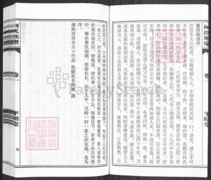 山东省济南市平阴县何氏平阴堂族谱-何氏族谱.pdf电子版插图4