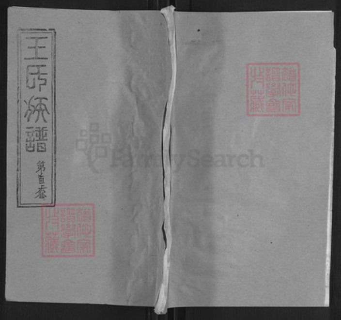 湖北省黄冈市麻城市王氏崇仁堂族谱-王氏族谱.pdf电子版