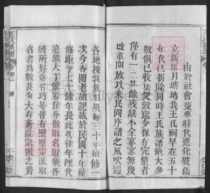 湖北省黄冈市麻城市王氏崇仁堂族谱-王氏族谱.pdf电子版插图2