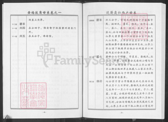 湖北省黄冈市蕲春县王氏三槐堂族谱-王氏宗谱.pdf电子版插图4