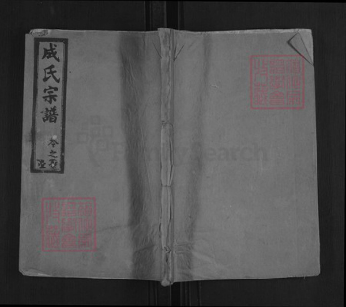 湖北省武汉市新洲区成氏族谱-成氏宗谱.pdf电子版插图 湖北省武汉市新洲区成氏族谱-成氏宗谱.pdf电子版插图