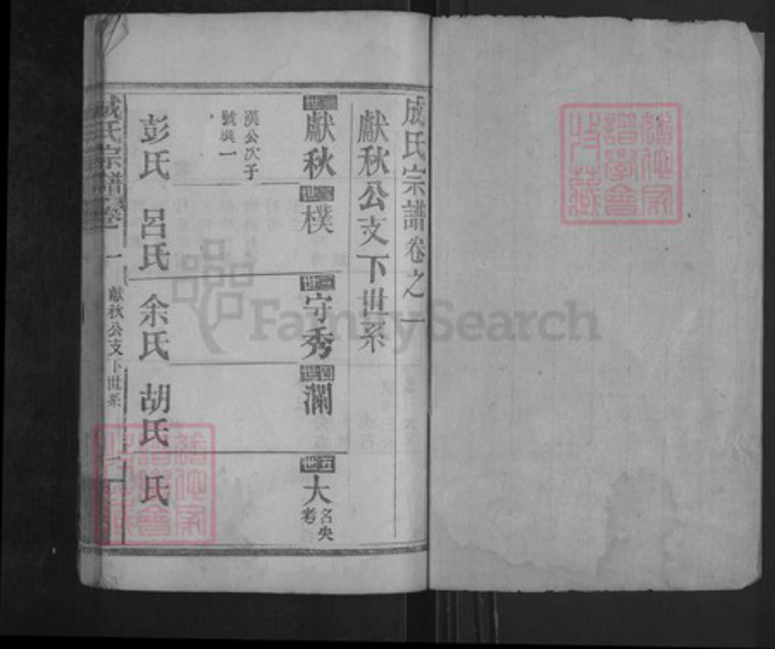 湖北省武汉市新洲区成氏族谱-成氏宗谱.pdf电子版插图1 湖北省武汉市新洲区成氏族谱-成氏宗谱.pdf电子版插图1