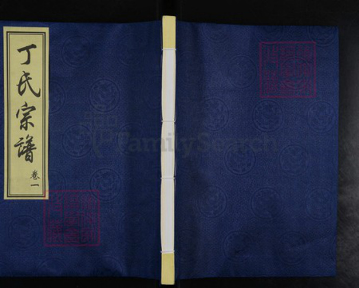 江苏省常州市武进县洛阳镇江苏省常州市武进县丁氏儒林堂族谱-丁氏宗谱.pdf电子版