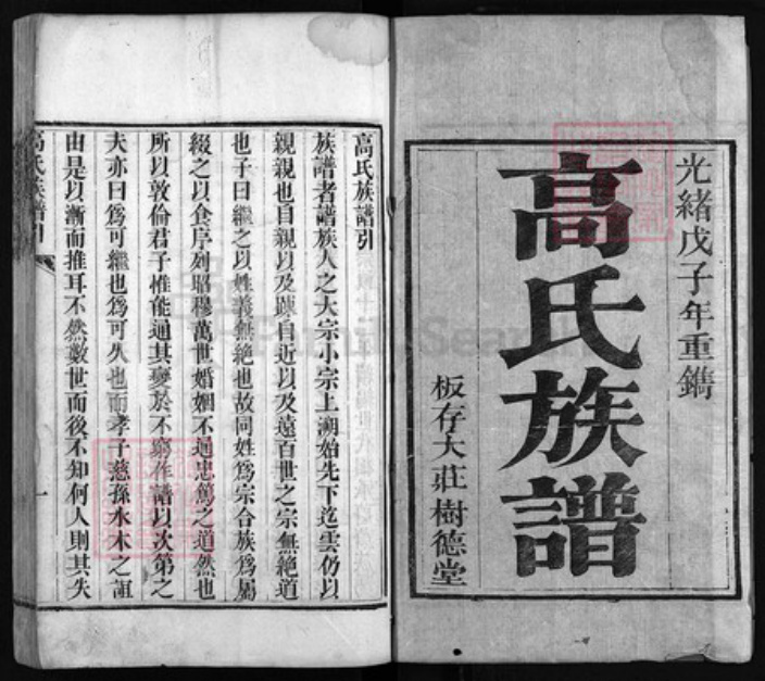 山东省临沂市沂水县高氏树德堂族谱-高氏族谱 [6卷,首1卷].pdf电子版插图1