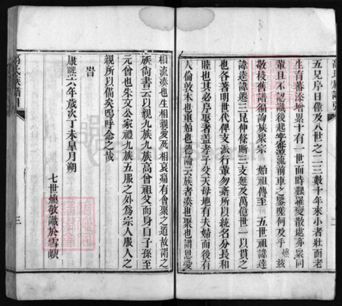 山东省临沂市沂水县高氏树德堂族谱-高氏族谱 [6卷,首1卷].pdf电子版插图3