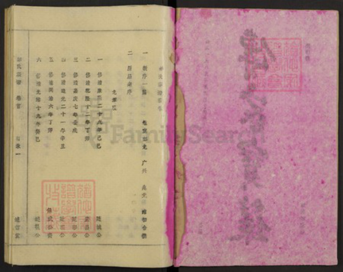安徽省安庆市桐城市彭氏族谱-彭氏族谱.pdf电子版插图2