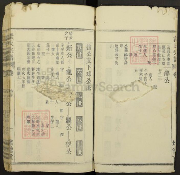 江西省九江市瑞昌市谈氏族谱-谈氏宗谱.pdf电子版插图2