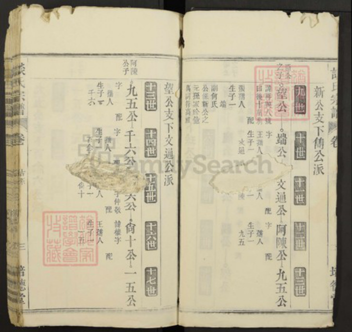 江西省九江市瑞昌市谈氏族谱-谈氏宗谱.pdf电子版插图3