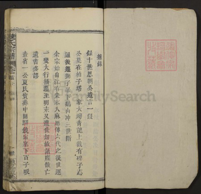 湖北省黄冈市红安县饶氏族谱-饶氏宗谱.pdf电子版插图1