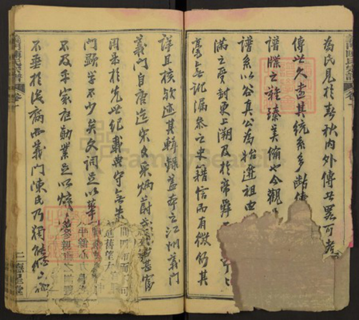 湖北省黄冈市陈氏族谱-义门陈氏宗谱.pdf电子版插图2