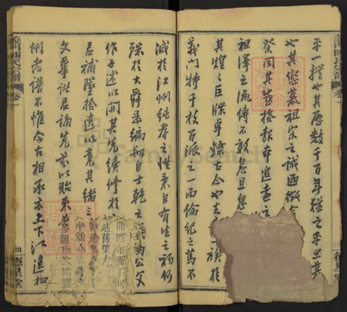 湖北省黄冈市陈氏族谱-义门陈氏宗谱.pdf电子版插图4